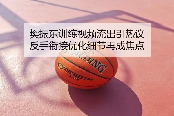 樊振东训练视频流出引热议 反手衔接优化细节再成焦点
